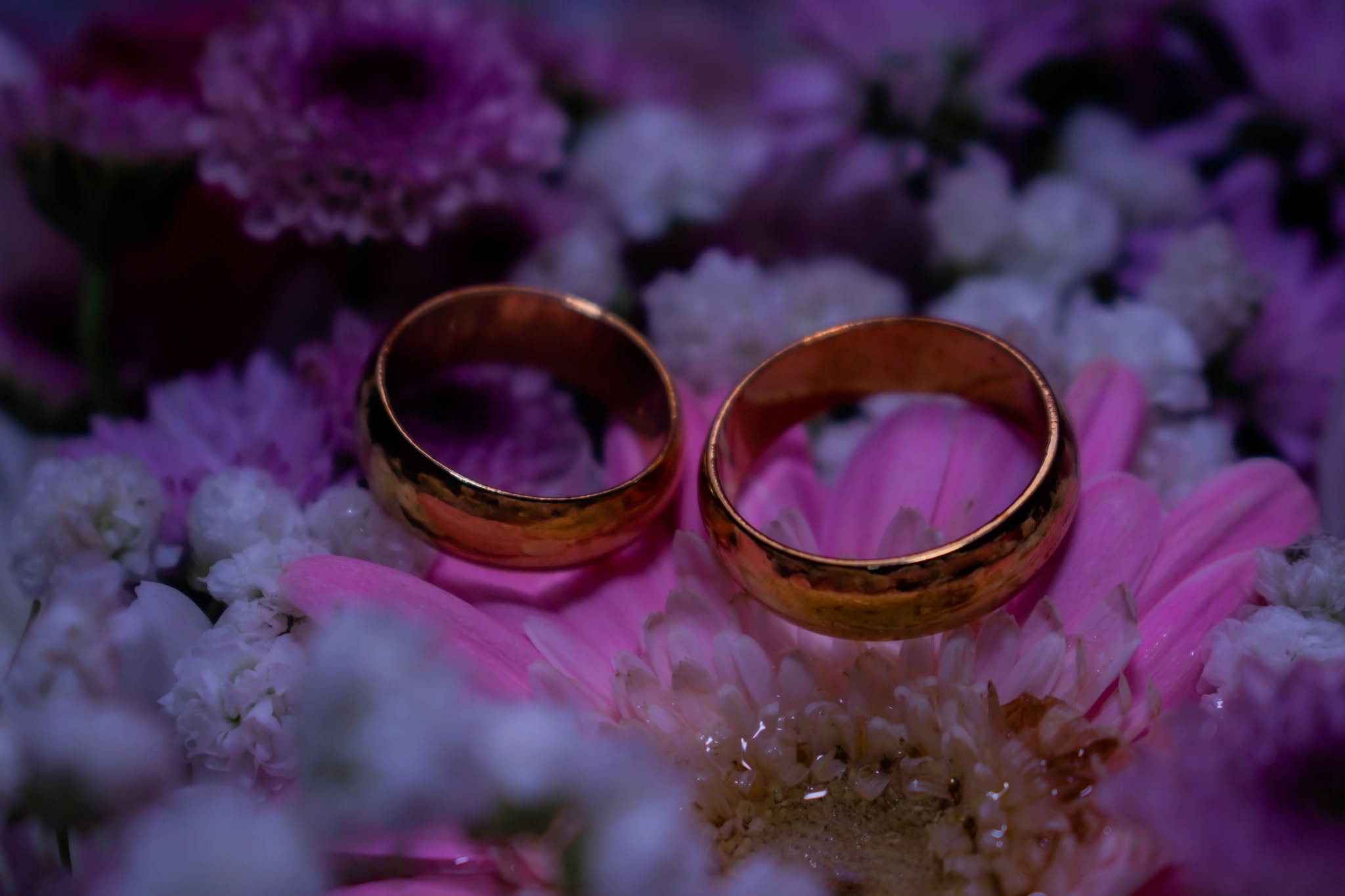 engagement