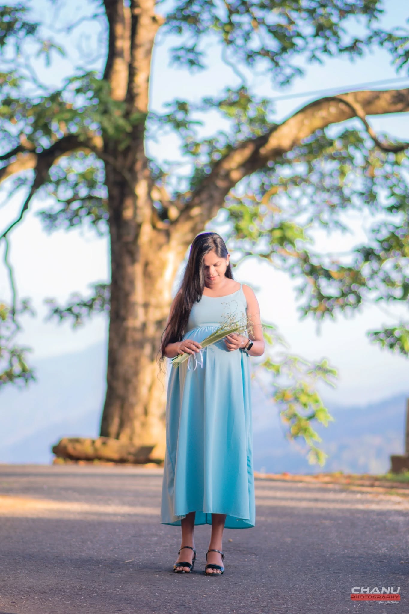 pregnancy