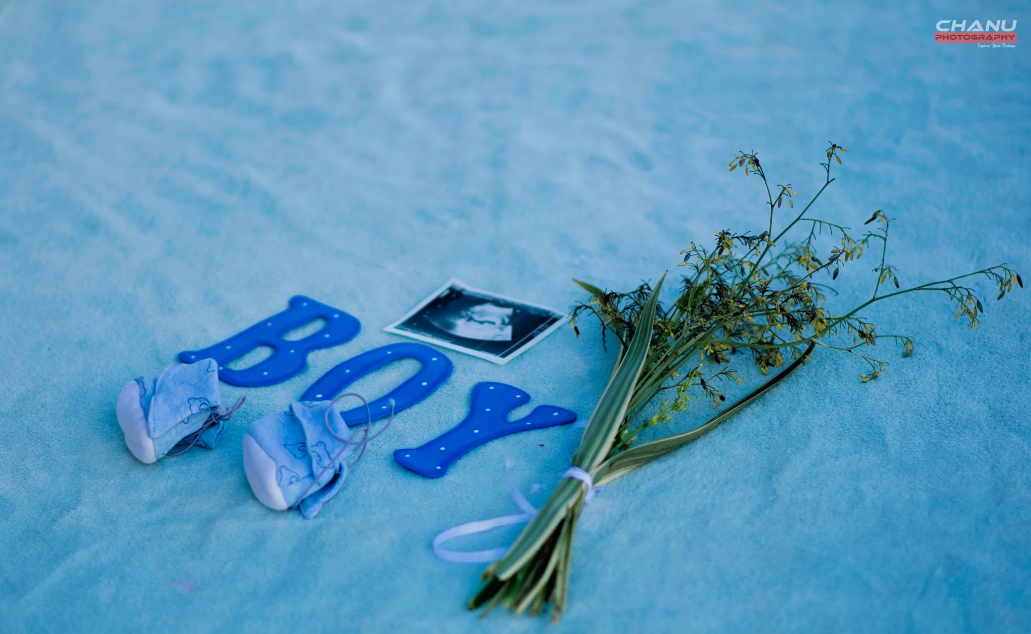 pregnancy